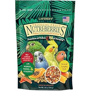 LAFEBER’S Tropical Fruit Nutri-Berries Pet Bird Food, Made with Non-GMO and Human-Grade Ingredients, for Cockatiels Conures Parakeets (Budgies) Lovebirds (Tropical Fruit 10 oz)