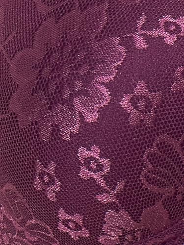 Image of Clovia Women's Lace Lightly Padded Non-Wired Bridal Bra