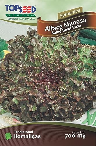 Semente Alface Mimosa Salad Bowl Roxa Topseed H142-10 Pacotes