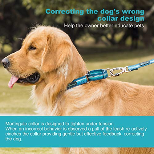 Dazzber Martingale Collars for Dogs, Turquoise Green, Neck 11 Inch -15 Inch, Heavy Duty No Pull No Escape Dog Collar for Small to Medium Dogs - Thumbnail 2
