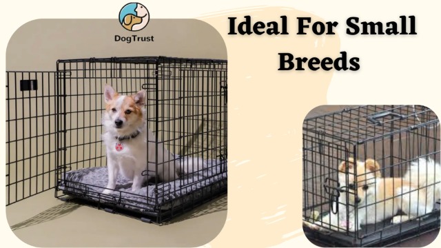 Dog Trust Dog Cage Sky Blue 24 Inch Iron Cage with Removable Tray
