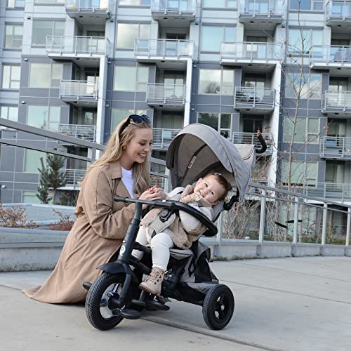 Image of POSH BABY & KIDS QPlay Rito Kids Tricycle with 3-Stages - Premium Toddler Tricycle Bike Featuring Easy Storage & Transportability, Safety Harness, Adjustable Canopy & Parent Handle (Ages 1-5, Grey)