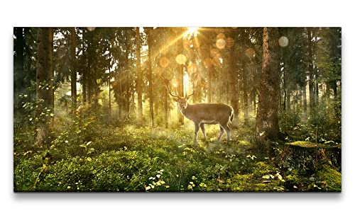 Paul Sinus Wandbild 120x60cm Mystischer Wald – Majestätischer Hirsch im...