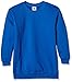 fruit-of-the-loom-sudadera-infantil-azul-real-3-4-anos