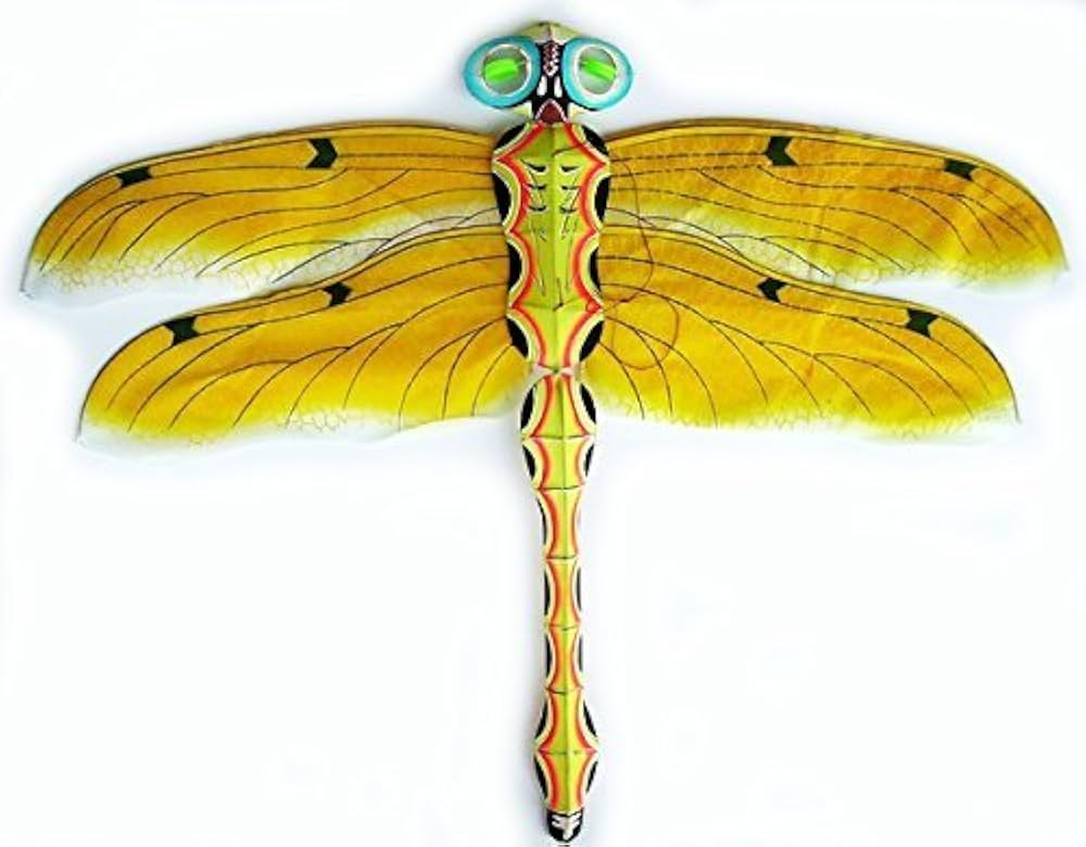 凧 Amazon.co.jp: 濰坊凧：伝統トンボ凧（緑色）：チョウ凧 図案も