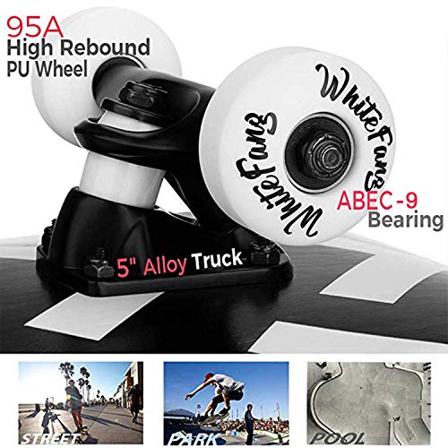 Image of WhiteFang Skateboards for Beginners, Complete Skateboard 31 x 7.88, 7 Layer Canadian Maple Double Kick Concave Standard and Tricks Skateboards for Kids and Beginners