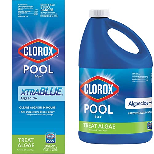 Top 10 Algaecide For Pool Clorox of 2022 Katynel