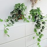 Fake Pothos Hanging Plants - 33' Set of 2 Artificial Silk Ivy Vines with Pots, Realistic Faux Greenery for Indoor Home Office Bathroom Decor, Low Maintenance Hanging Plant Decoration - Golden Green