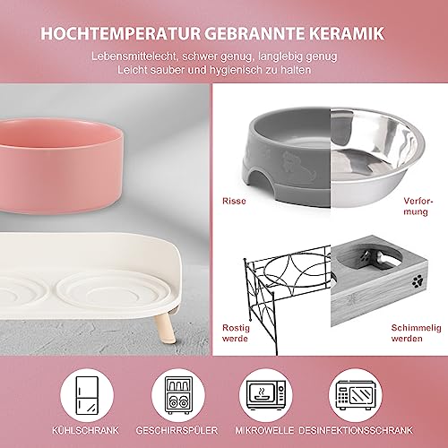 Katzen Napfset Katzennapf Erhöht Keramik - Doppelt Katzennäpfe mit Rutschfestem Ständer und Spritzschutz - Fressnapf Katze Napf - Futternapf Wassernapf Set für Katzen Welpen Kleine Hunde - 2 x 480 ML
