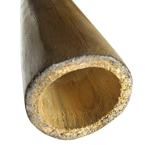 World Percussion Usa HWDTBLK Solid Wood Didgeridoo 52 Inch Long thumb #3