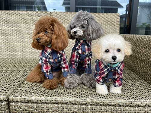 RIOSTUDIO  ̕ ybg fj`FbNVc ^ ^ ^(XSTCY)