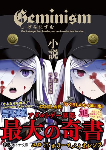 Geminism ～げみにずむ～ 小説 (オトナ文庫)