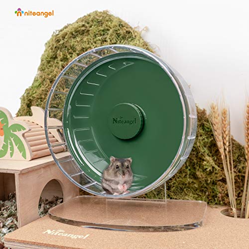 Best Exercise Wheel For Syrian Hamster