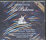 tagliavini le origini delle lingue neolatine pdf  La Boheme