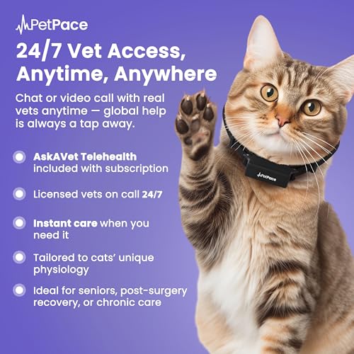 New PetPace V3.0 Cat Health Monitor by PetPace – AI Health Collar with 24/7 Vital Signs Alerts, GPS, Telehealth Consults, AskaVet & Share with Your Vet & SmartWatch Sync – Subscription Required - Image 9