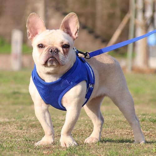 See full amazon price history chart for Urbane Home Reflective Dog Harness With Adjustable Leash|Breathable Polyester Mesh Fabric |Large Size|HT-844|Comfortable No-Pull Grip|Quick Release Buckles|Easy On - Easy Off Harness|Blue Urbane Home Reflective Dog Harness With Adjustable Leash|Breathable Polyester Mesh Fabric |Large Size|HT-844|Comfortable No-Pull Grip|Quick Release Buckles|Easy On - Easy Off Harness|Blue (B0CP93Q3DC) Amazon Price History, Amazon Price Tracker