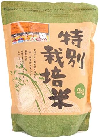 新篠津クリーンあやひめ組合 あやひめ 白米 2kg 2袋