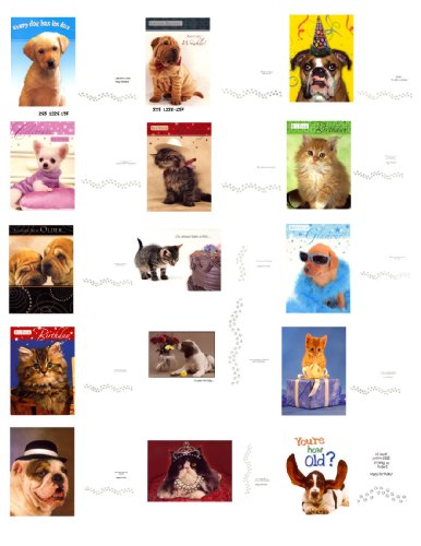 Bulk Savings-40 High Quality Cards For All Occasions At A Great Price-Styles May Vary-Perfect For Mom,Dad,Sister,Brother,Aunt,Uncle, Cousin,Grandchildren,Grandma,Grandpa,Wife, And Relatives #TOP3