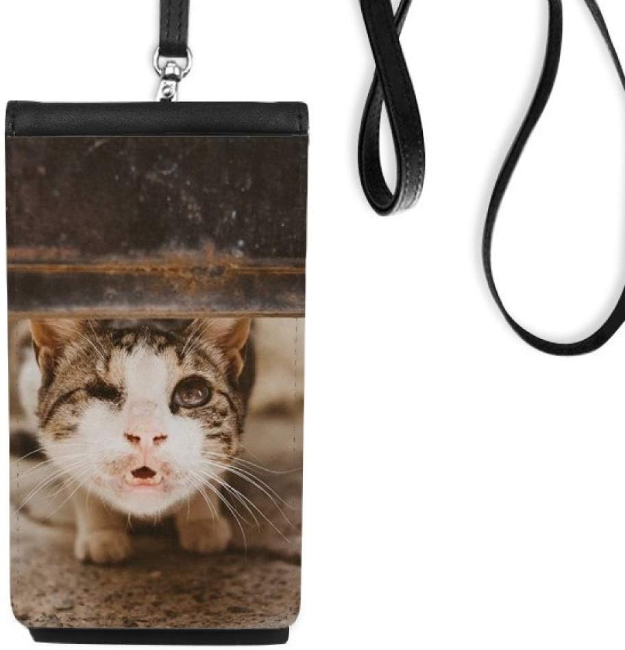 DIYthinker Animal Funny Cat Photograph Shoot Phone Wallet Purse Hanging Mobile Pouch Black Pocket