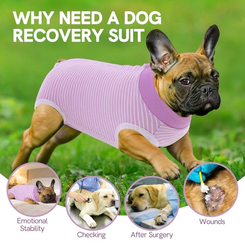 Image of SAWMONG Recovery Suit for Dogs Female Male, Cotton Breathable Dog Onesie After Surgery Spay Neuter, Professional Dog Surgical Suit, Substitute Pet E-Collar Cone, Purple, XX-Large