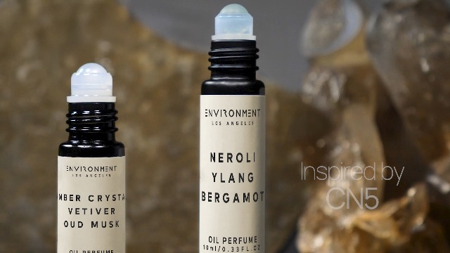 Amazon.com : ENVIRONMENT Inspired by Designer Perfume DYPT Baies