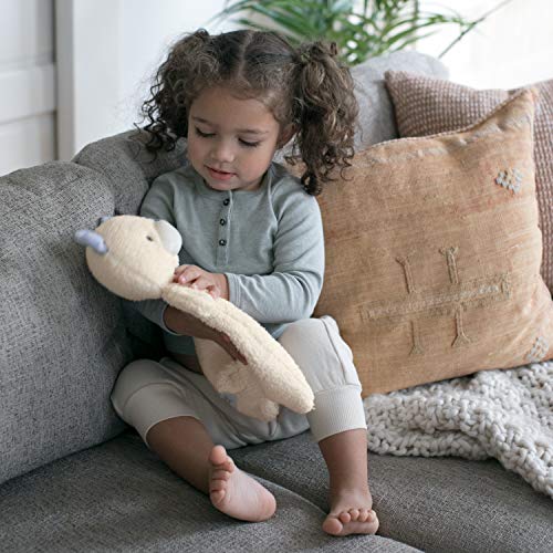 Image of Ingenuity Premium Soft Mini Bean Bag Plush, Nate The Teddy Bear, Ages Newborn and up.