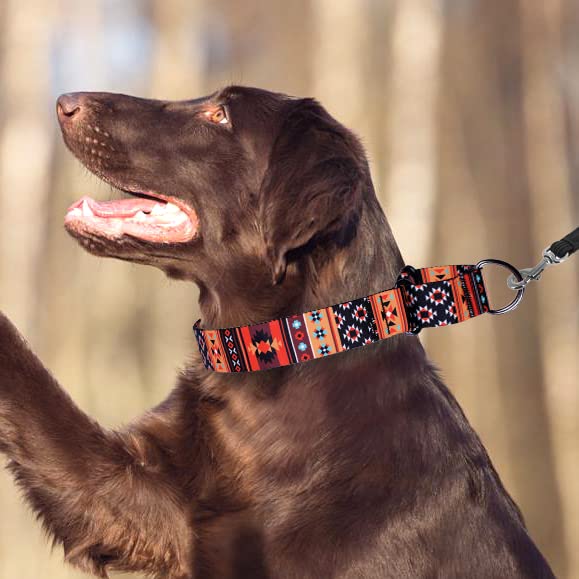 Brede leren halsbanden voor honden kopen