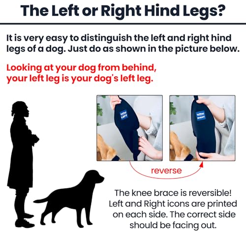 Image of Dog Knee Brace with Harness and Connection Belt, Lightweight and Stretchable, Support for Torn ACL Hind Leg, Luxating Patella, Reduces Arthritis Pain and Inflammation (XXX-Small)