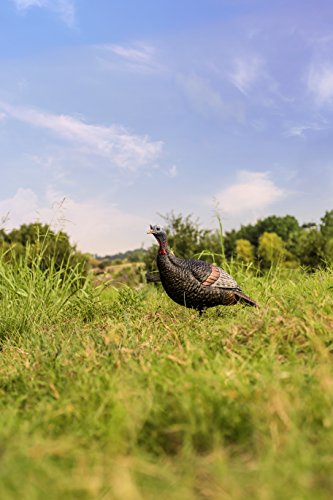 Flextone Thunder Jake Decoy