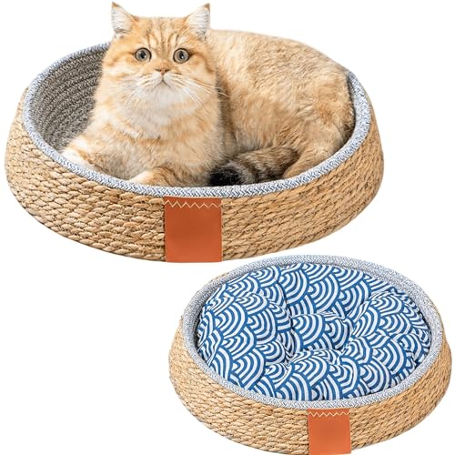 ҂݂̔LxbhAVRK}̔LxbhoXPbgA҂ݎqLxbhL\t@LoXPbgqLqLpî݁AXLj(With Cushion,S)