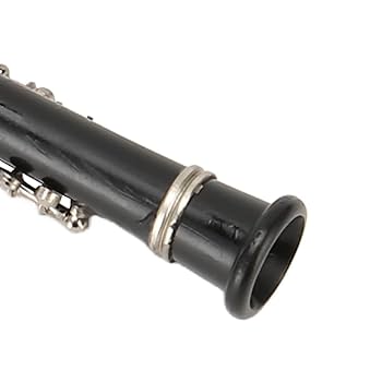 Amazon.co.jp: ミニチュア オーボエ、防錆、音楽祭用の収納