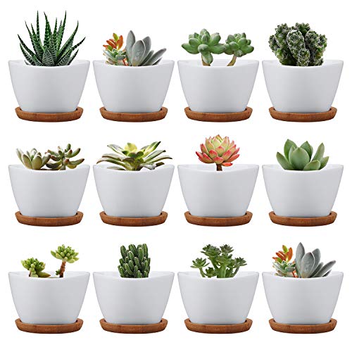 Succluent Pots ï¼ŒSmall Flower Pots Planter Pots with Drinage,Ceramic Flowers Pots with Bamboo Tray for Cactus(12 Pack)