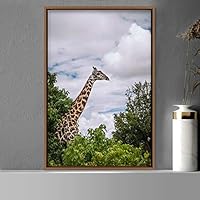 Framed Canvas Wall Art Giraffe Animals Expressive Farmhouse/Country Giraffe Living Room Multicolor Photography - 16x24 inches
