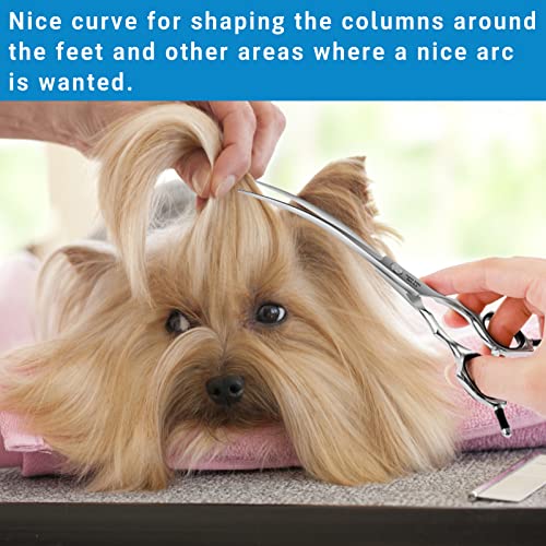 HASHIMOTO Dog Grooming Scissors, Curved Scissors for Dog Grooming, 6.5 inch, 30 Degree of Curved Blade,Light Weight, Pet Shears for Trimming Face and Paws. image 7