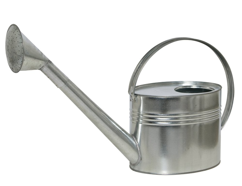 Siena Giardino 395.238 7l annaffiatoio con spruzzatore di Testa zincata