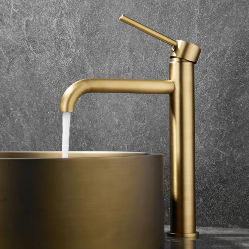 BiaoTeng ʑ ֌  VOo[  g  ␅ ^J  ֌ AeB[N