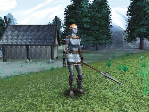 Amazon.com: Dark Age of Camelot: Catacombs Expansion Pack - PC