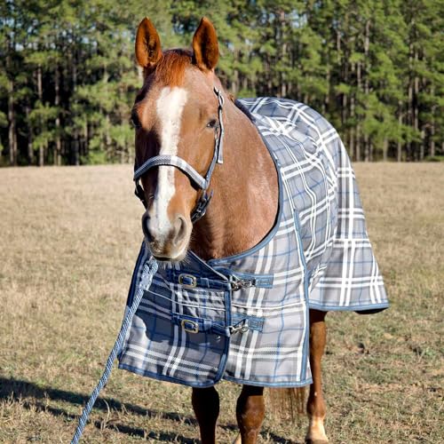 Jeffers Poplar Head Refuge 1200 Denier Turnout Sheet, 0 Gram, Hamilton Blue & Slate Plaid, 72