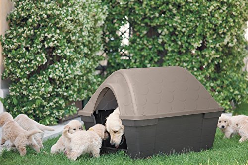 Zolux Niche CASA Felice Gris/Taupe