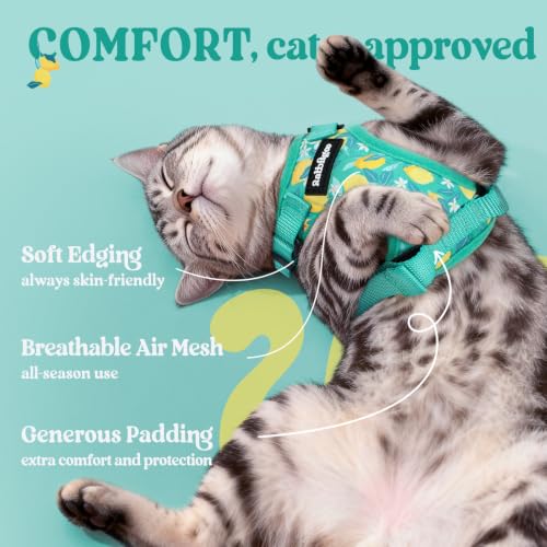 Image of rabbitgoo Cat Harness and Leash Set, Escape Proof Vest, Lemon Grove