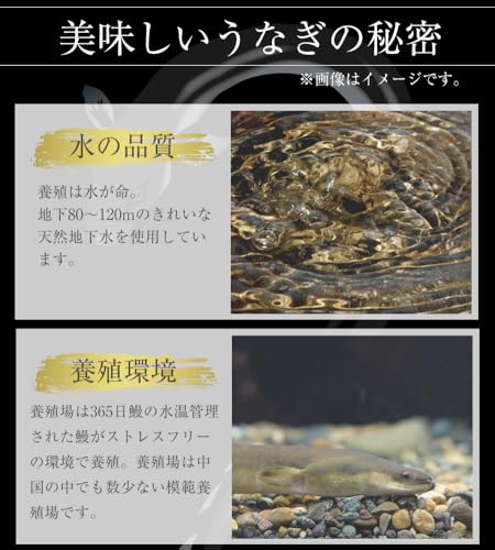 松屋 ふわぁとろ うなぎ12人前 の商品画像 5