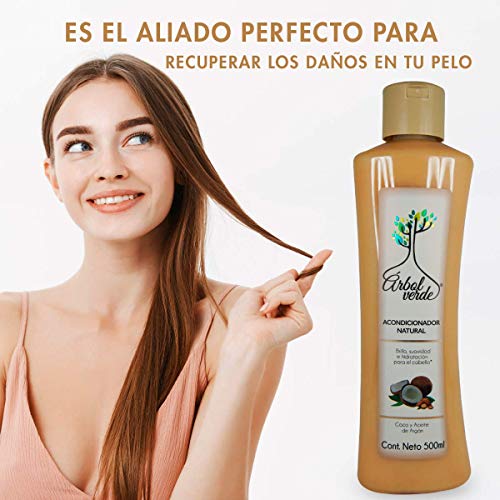 Catálogo de Arbol verde Top 5. 4
