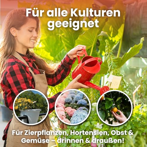 LERAVA® – Eisenchelat Dünger (800g) – Eisendünger für Pflanzen | Hortensien Dünger Eisen – Wirkt gegen Chlorose & Blattvergilbung – Kräftiges Blattgrün & sichtbarer Effekt nach wenigen Tagen 3