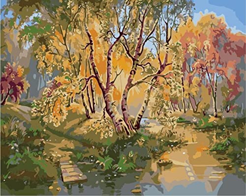 Kit peinture au diamant cadeau amusant paysage automnal pour créatifs