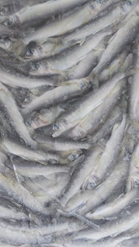 Y Ⓚ t 1kg (C9`13g) ሼ  Mp