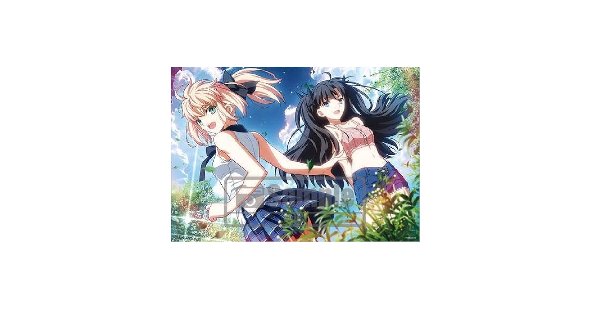 Amazon.co.jp: Fate/stay night 武内崇イラスト B2タペストリー