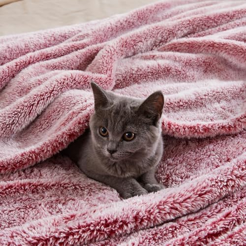 Image of Exclusivo Mezcla Plush Fuzzy Fleece Throw Blanket Extra Large, Super Soft, Fluffy and Warm Blankets for Couch, Bed, All Season (Mixed Deep Red, 50x70 inches)