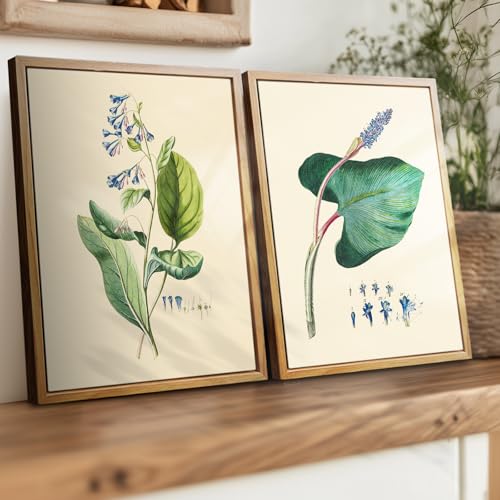 crmotu Framed Wall Art, Botanical Wall Art, Nature Canvas Prints, Leaf Minimalist Vintage Paintings, Still Life Plant Pictures for Living Room Bedroom Bathroom Kithcen Farmhouse 12x16 inch