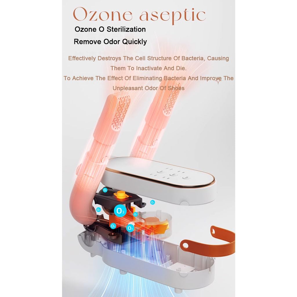 Asciuga scarponi per stivali da lavoro Asciuga scarpe portatile con rack e timer regolabili Asciuga guanti elettrici e scalda scarponi con termoventilatore per calzini