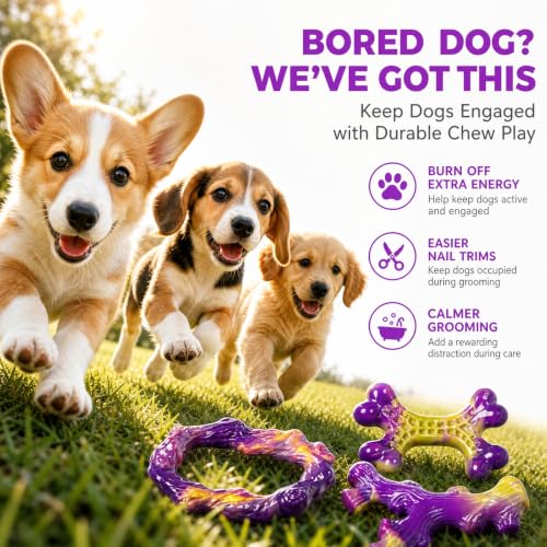 Image of Frienhund 3-Pack Puppy chew Toys: Puppy chew Toys for Teething